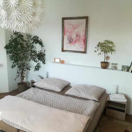 Penzion Flora Zatec  Ngoại thất bức ảnh