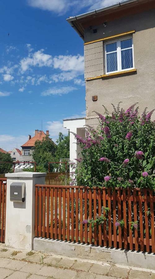 Penzion Flora Zatec  Ngoại thất bức ảnh