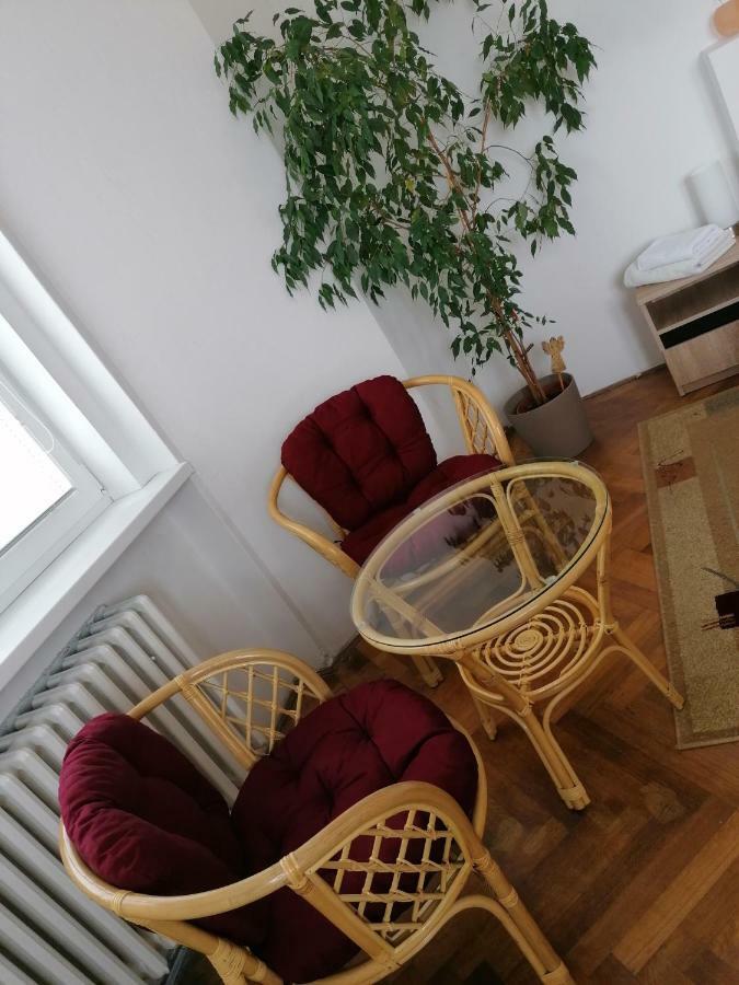 Penzion Flora Zatec  Ngoại thất bức ảnh